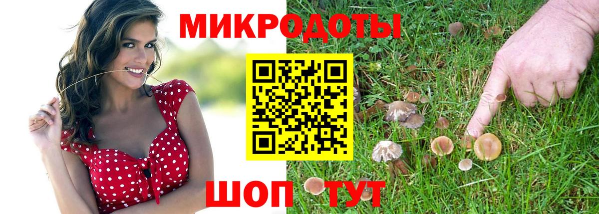 Псилоцибиновые грибы мицелий  Вход с VPN  Псилоцибиновые грибы Magic Shrooms  купить  цена  Полевской 