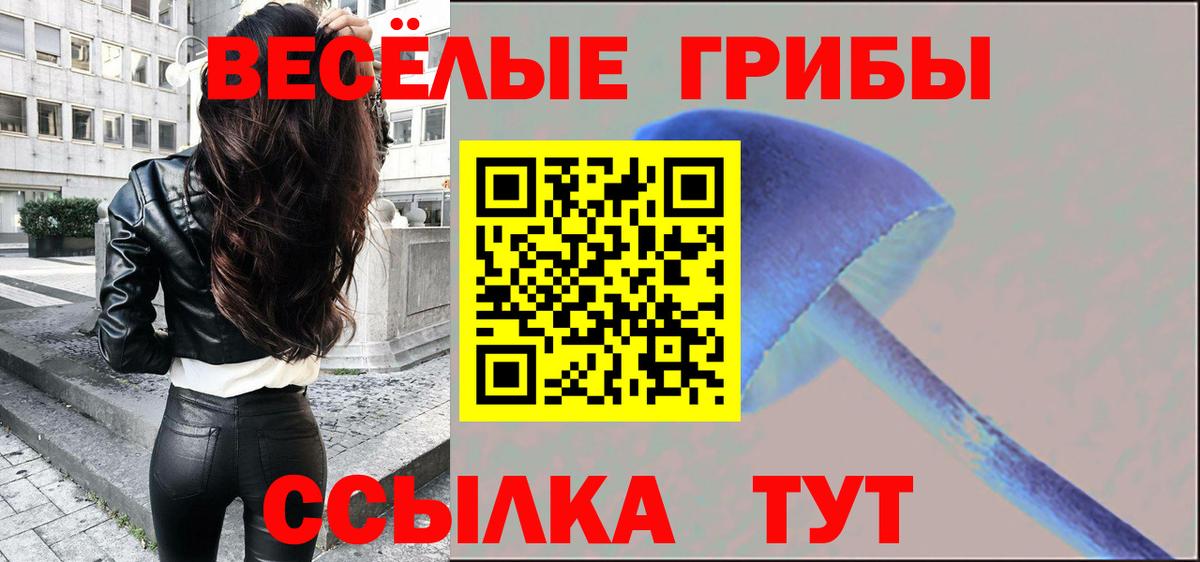 Галлюциногенные грибы Psilocybe Полевской